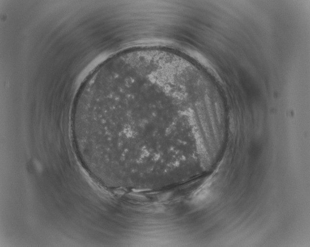 X0000076381229200610271520