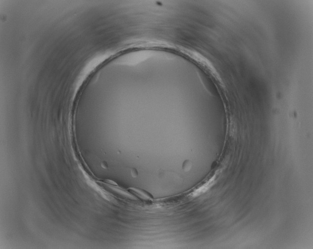 X0000076381231200610271520