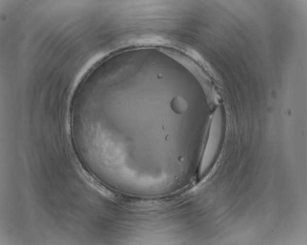 X0000076381232200610271520