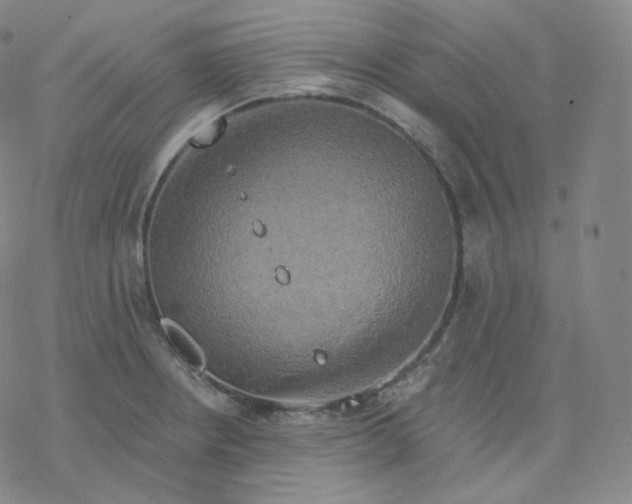 X0000076381234200610271520