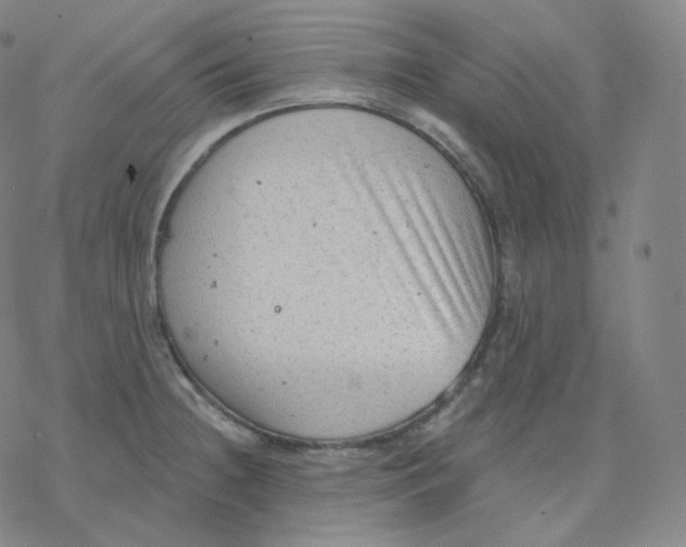 X0000076381236200610271520