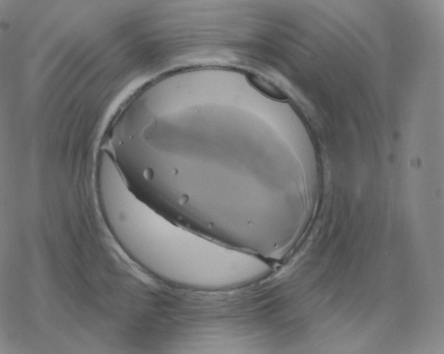 X0000076381240200610271520