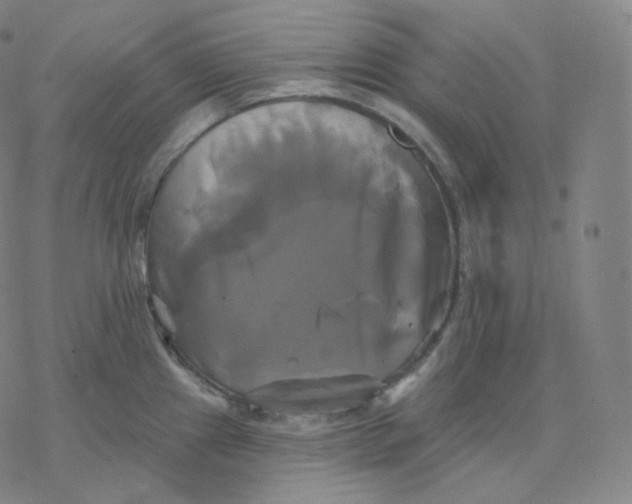 X0000076381241200610271520