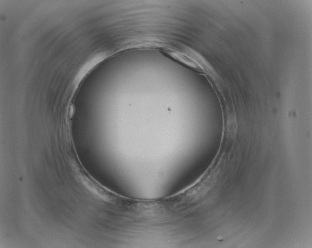 X0000076381242200610271520