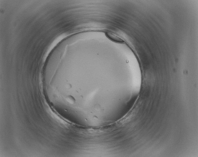 X0000076381243200610271520