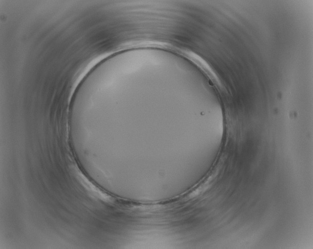 X0000076381244200610271520