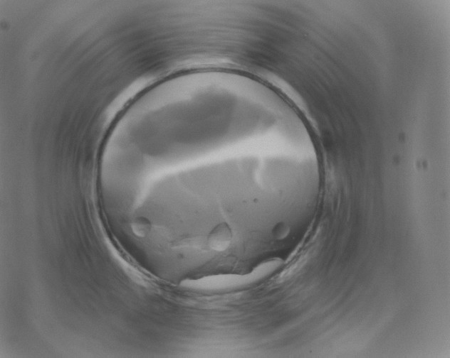 X0000076381245200610271520