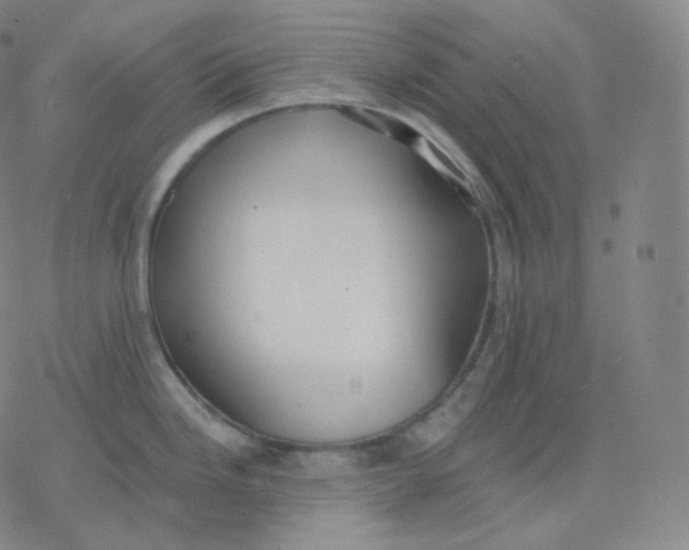 X0000076381246200610271520