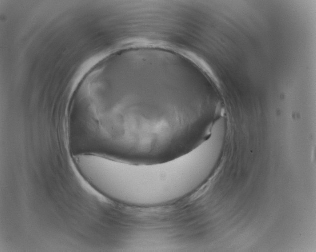 X0000076381247200610271520