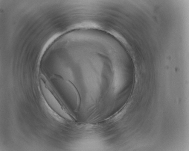 X0000076381248200610271520