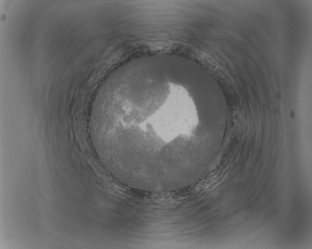 X0000076381249200610271519