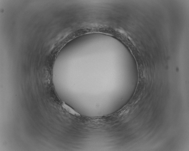 X0000076381253200610271519