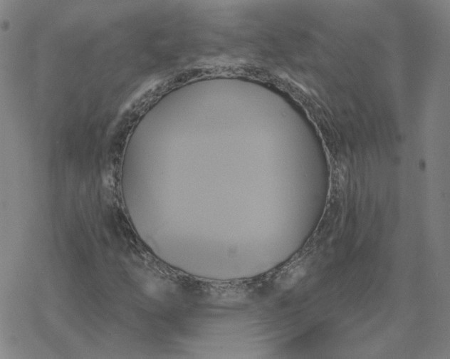 X0000076381254200610271519