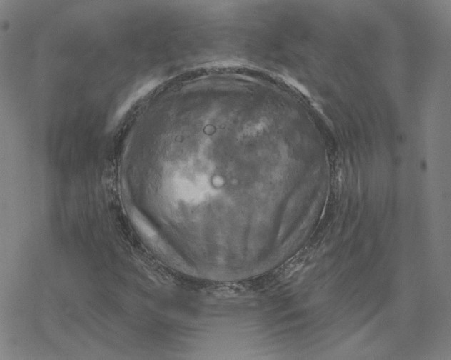 X0000076381255200610271519