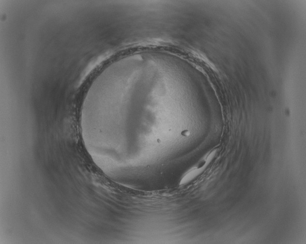 X0000076381256200610271519