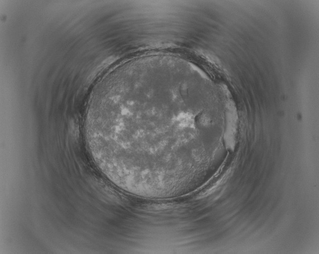 X0000076381257200610271519