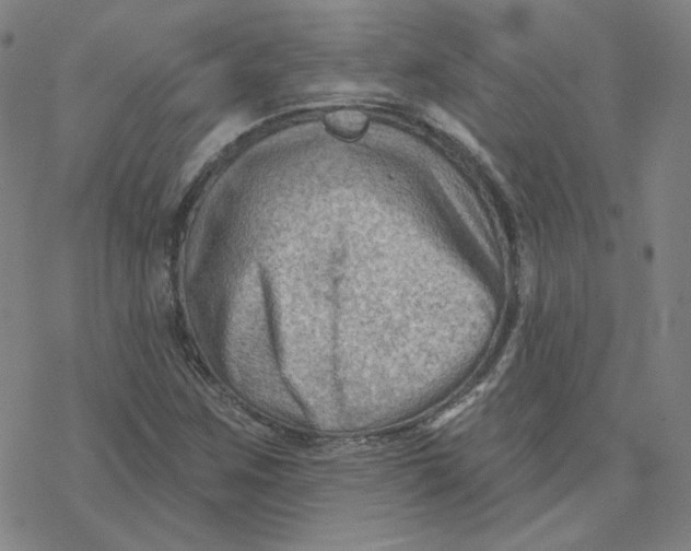 X0000076381259200610271519