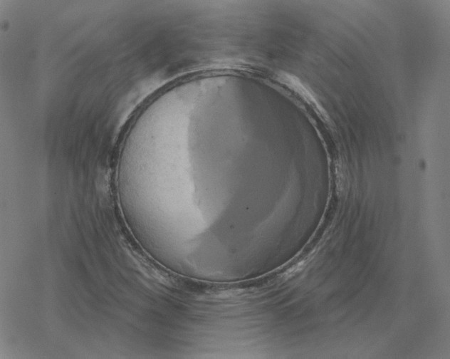 X0000076381260200610271519