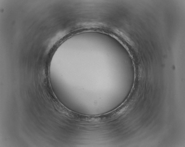 X0000076381261200610271519