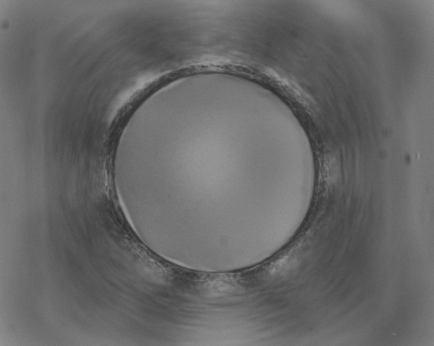 X0000076381262200610271519