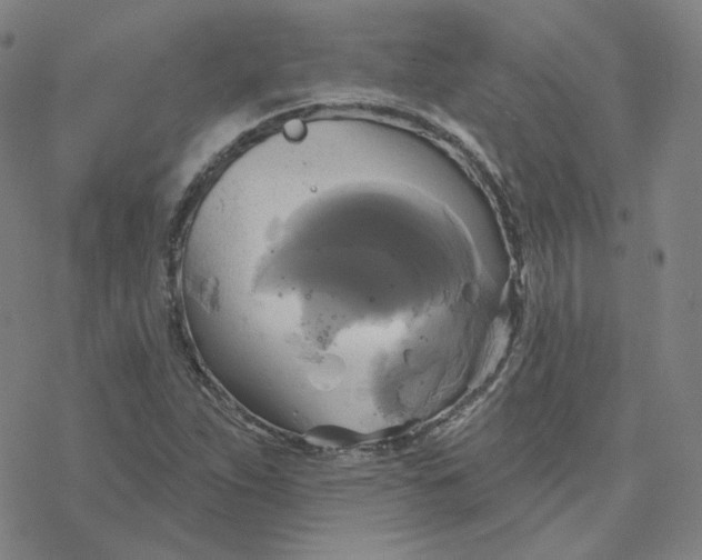 X0000076381263200610271519