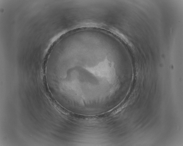 X0000076381264200610271519