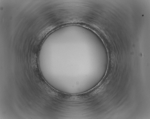 X0000076381265200610271519