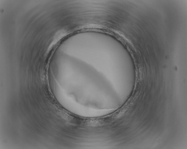 X0000076381266200610271519