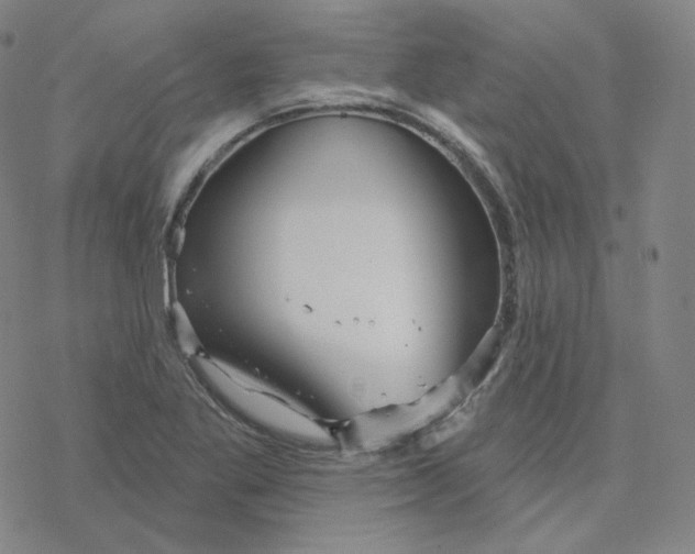 X0000076381269200610271519