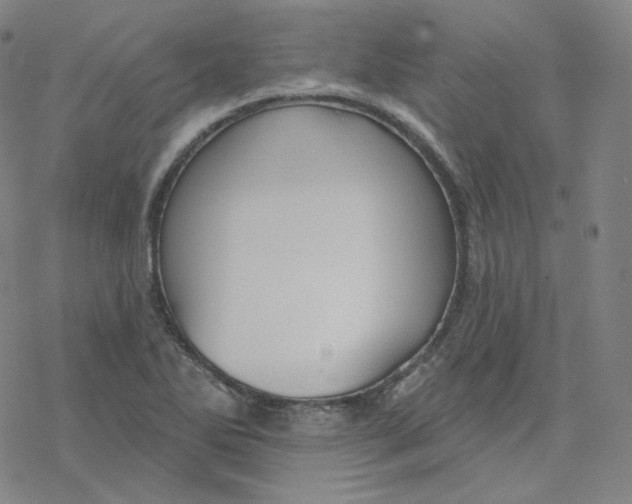 X0000076381270200610271519