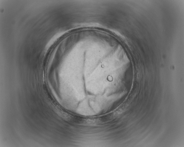 X0000076381271200610271519