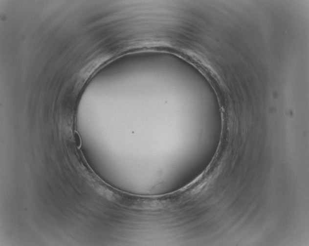 X0000076381273200610271519