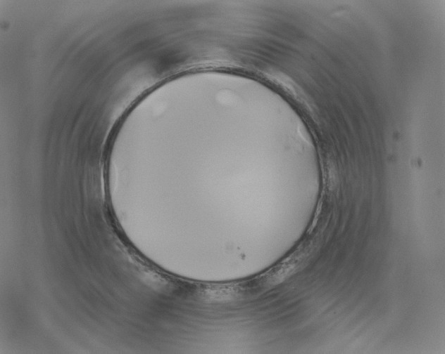 X0000076381274200610271519