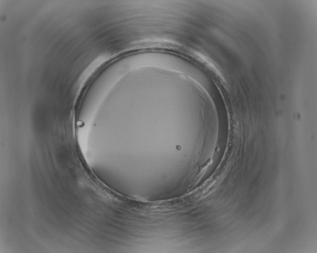 X0000076381275200610271519