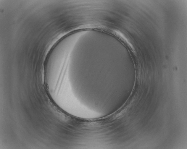 X0000076381276200610271519