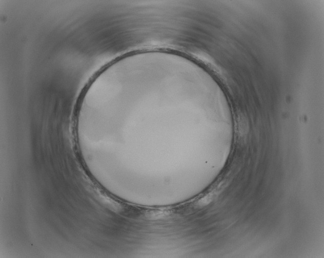 X0000076381278200610271519