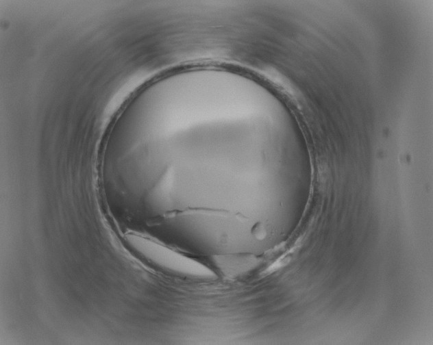 X0000076381279200610271519