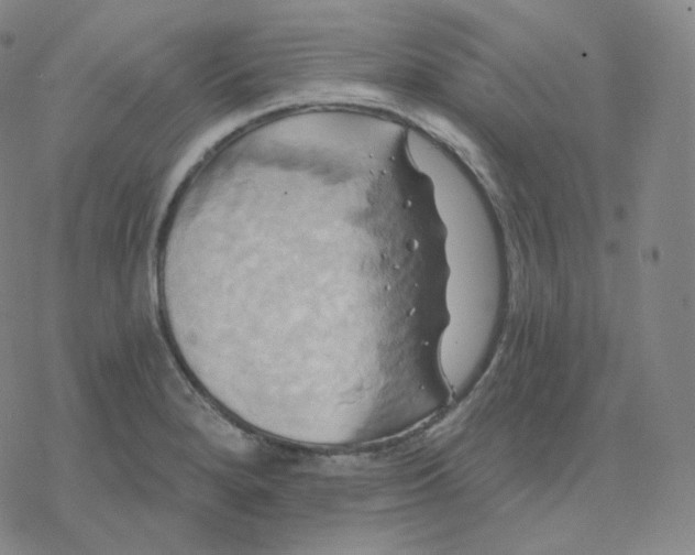 X0000076381280200610271519