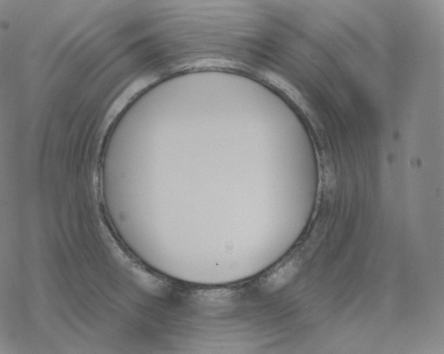 X0000076381282200610271519