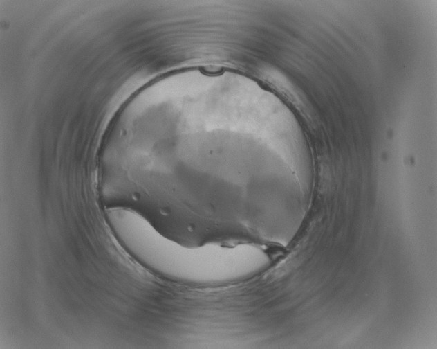 X0000076381284200610271519