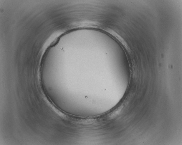 X0000076381285200610271519