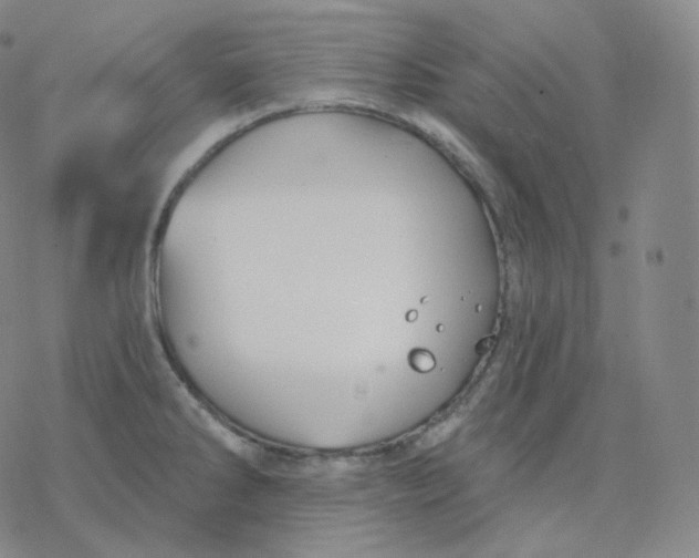 X0000076381286200610271519