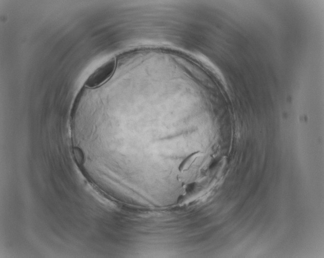 X0000076381287200610271518