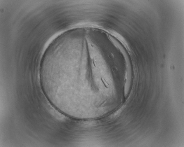 X0000076381288200610271518