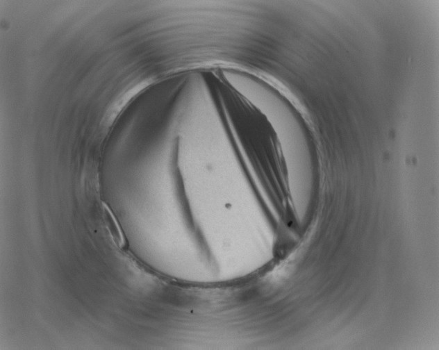 X0000076381289200610271518