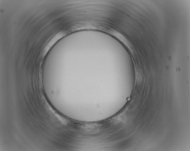 X0000076381290200610271518