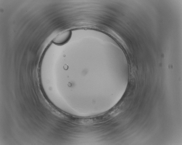 X0000076381291200610271518