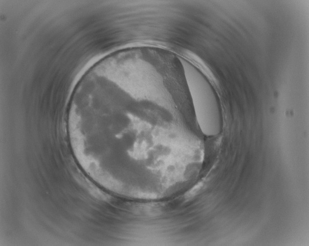 X0000076381292200610271518