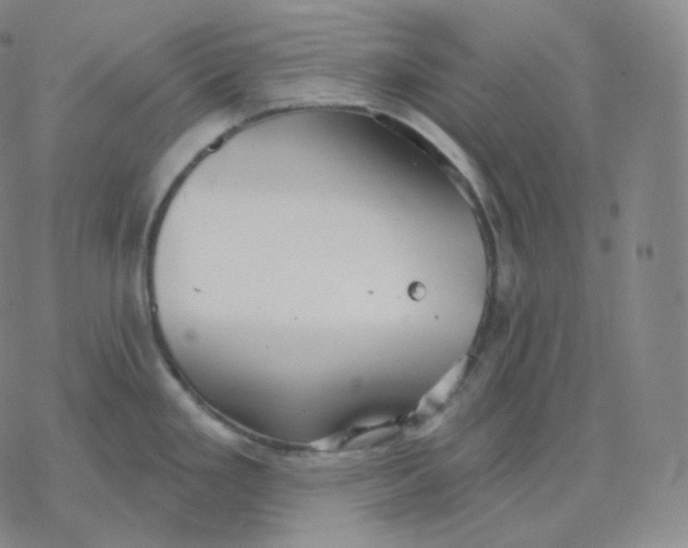 X0000076381293200610271518