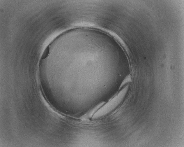 X0000076381295200610271518